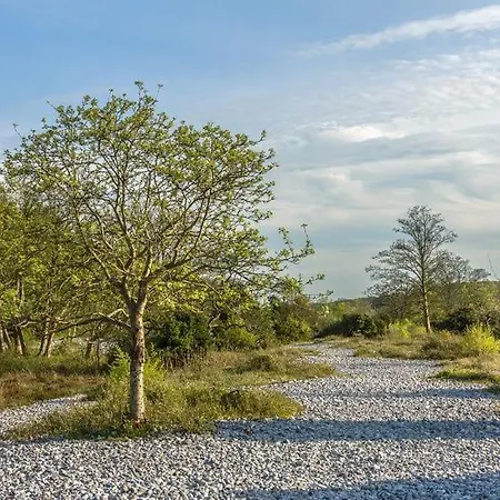 Hildegard-strandnaehe - Balkon-im Zentrum Von 7